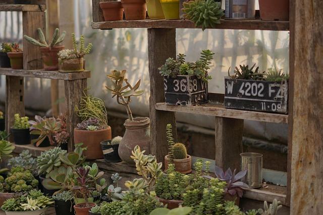 Loja de plantas
